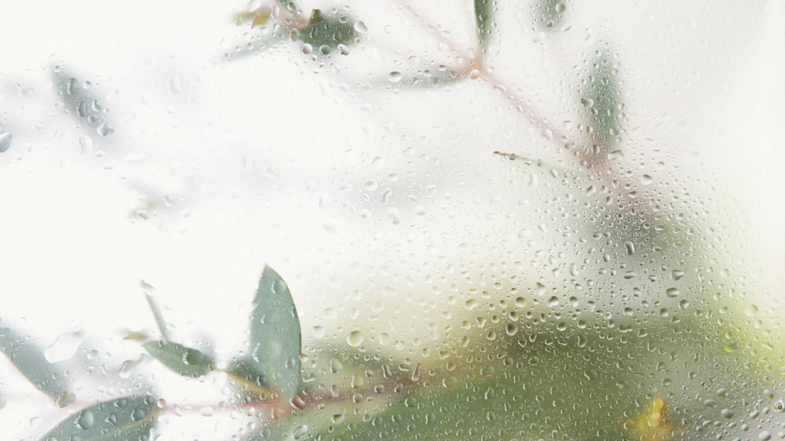 Tarifs artisan pour couper du verre securit à Cannes dans le 06